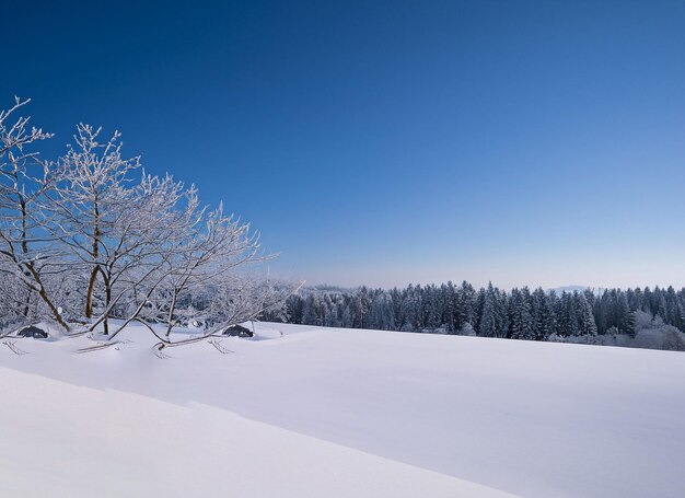 Winter space of snow