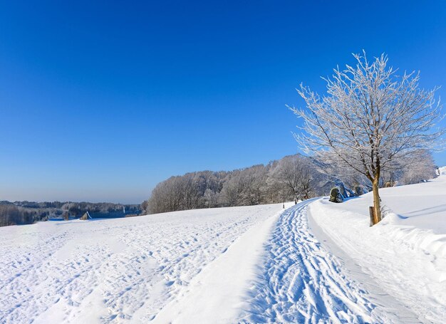 Winter space of snow