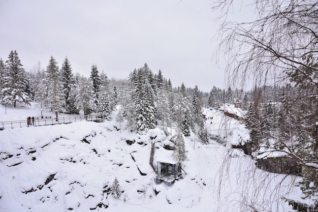 白いふわふわの雪で覆われたトウヒ林トウヒの冬 セレクティブ フォーカス 冬の風景