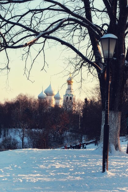 Фото Зимний уличный фонарь и дерево