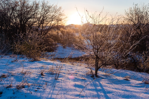 田舎道のある冬の晴れた朝の風景。