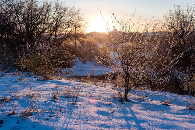 Winter sunny morning landscape with a country road.