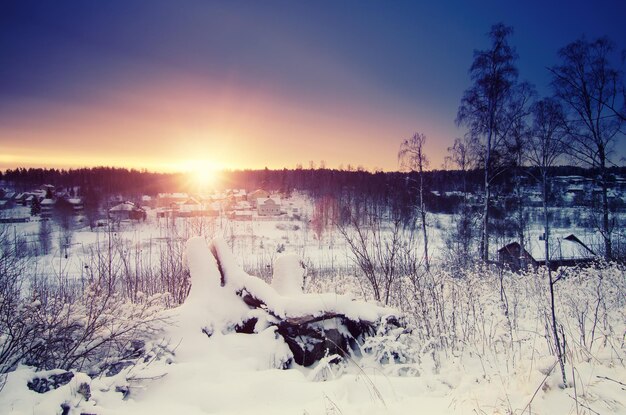 Winter sunny sunrise landscape with trees and small swedish town north scandinavian seasonal hipster background