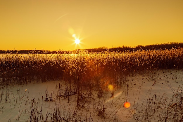 Winter sunset landscape with snowcovered field and bright glare from sun grass covered with frost