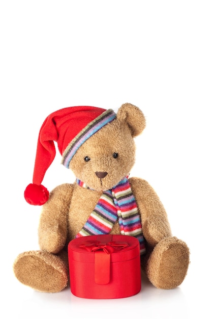 Winter teddybeer met hoedendoos