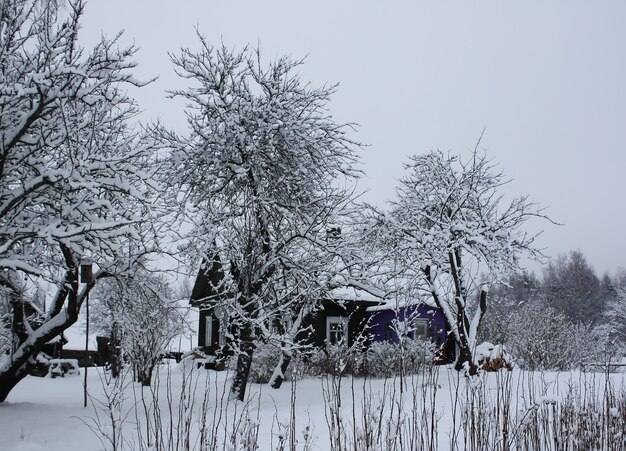 Winter time and snow space