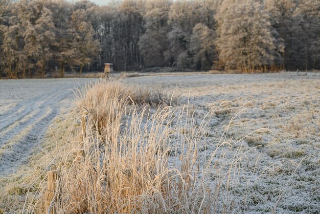 Photo winter time in westphalia