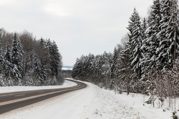 雪の降る一年の冬、車の冬の舗装道路