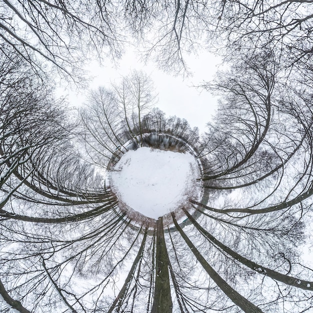 Winter tiny planet in snow covered pinery forest with\
transformation of spherical panorama 360 degrees in abstract aerial\
view in forest curvature of space