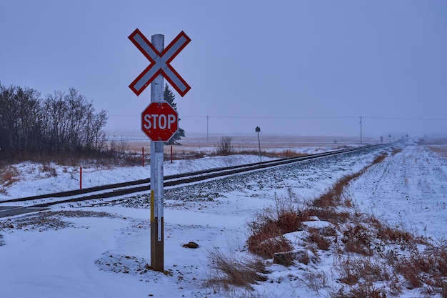 Фото Зимние дорожные знаки в снегу