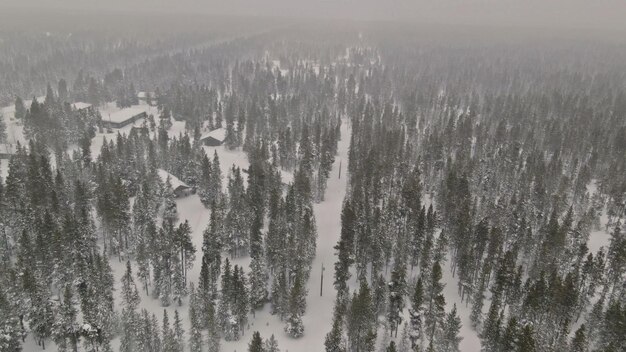 Winter trail panoramic landscape with snowy forest path heavy snowfall