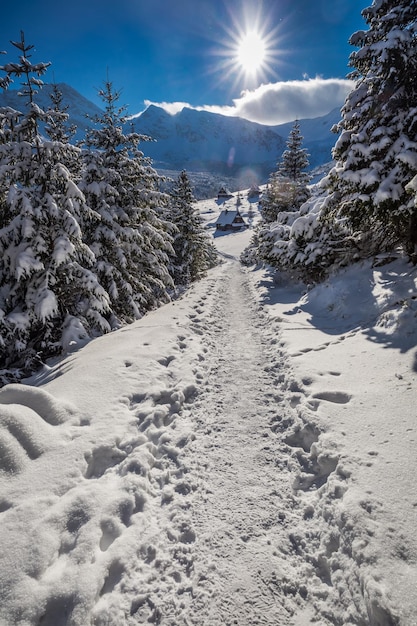 일몰 Tatra 폴란드에서 계곡 gasienicowej에 겨울 흔적