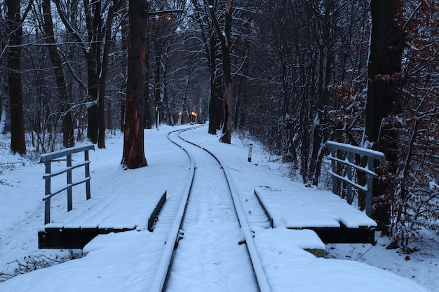 Winter train in the woods