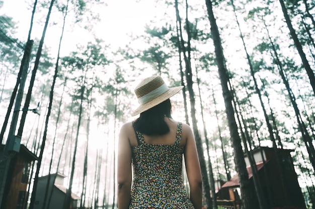 Photo winter travel relax vacation concept, young happy traveler asian woman sightseeing in pine tree garden at doi bo luang forest park, chiang mai, thailand