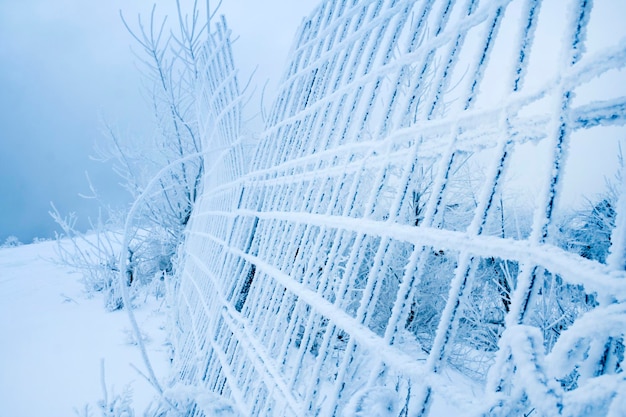 Зимние деревья и забор в мороз и туман