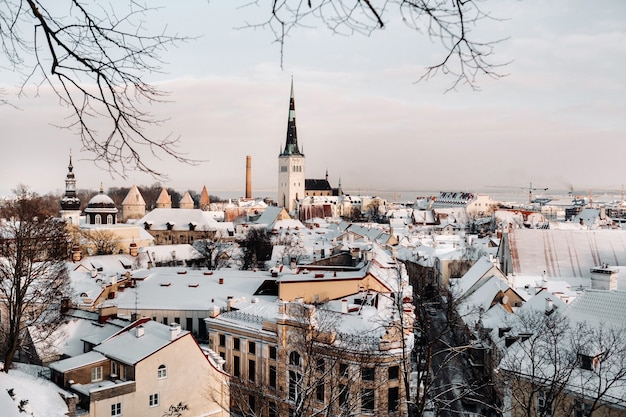 Winter uitzicht op de oude stad van Tallinn. Besneeuwde stad in de buurt van de Baltische zee. Estland.