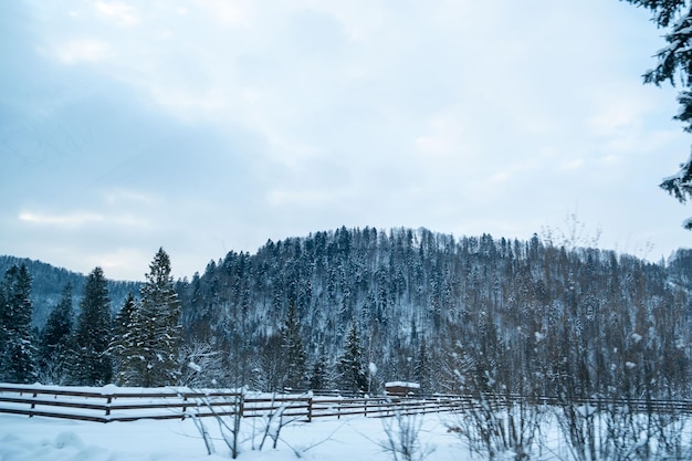 Winter ukrainian carpathian mountains landscape view copy space