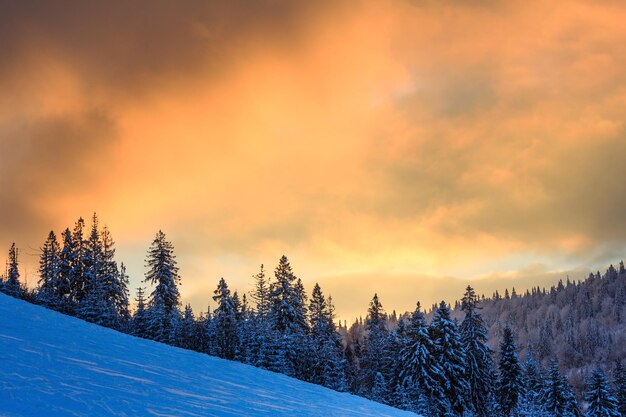 冬のウクライナのカルパティア山脈の風景