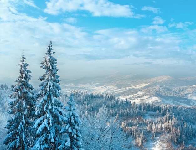 Paesaggio delle montagne dei carpazi ucraini di inverno