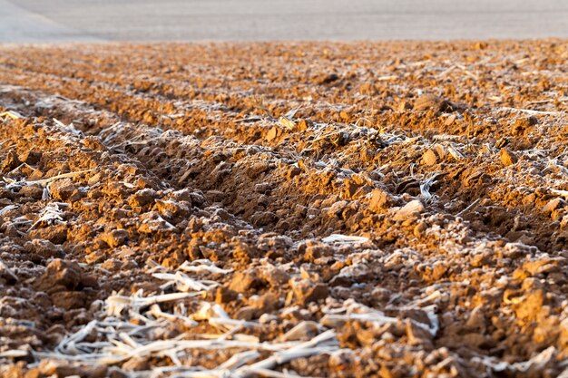 Winter veld landschap