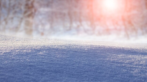 Photo winter view, christmas background. snow-covered ground on a background of winter forest in the morning during sunrise