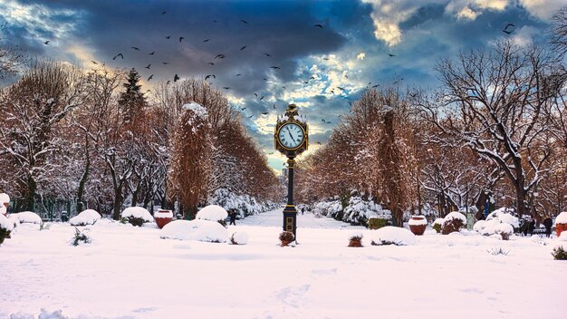 Foto vista invernale giardini cismigiu parco pubblico bucarest