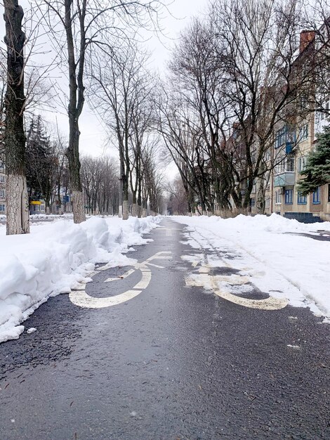 A winter view of the city bike path is depicted