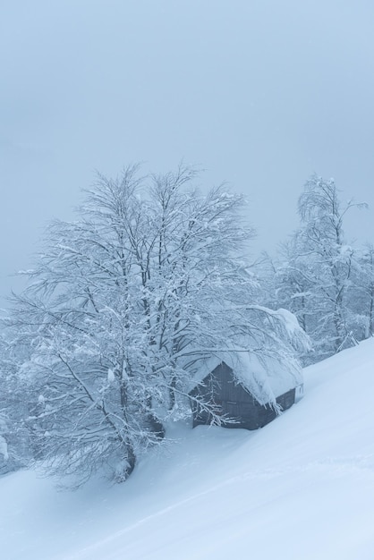 雪の中の森の木造小屋からの冬景色