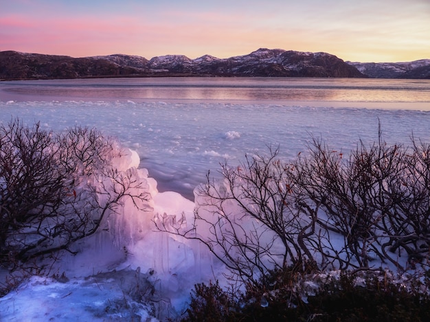 Winter view of ice on bushes near a snow covered lake