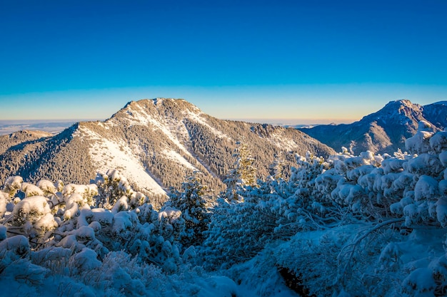 5 つの湖の谷またはタトラ山脈ポーランドのドリナ Pieciu Stawow の冬景色