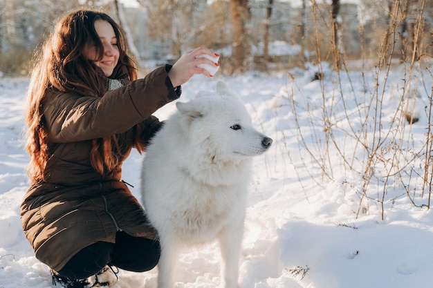 Winter walk with your favorite Samoyed pet