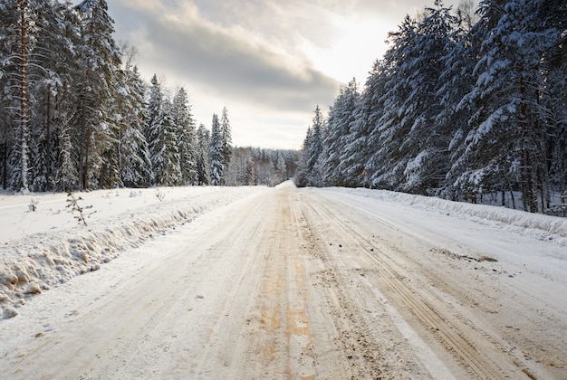 Winter weg in besneeuwde ijzige boslandschap