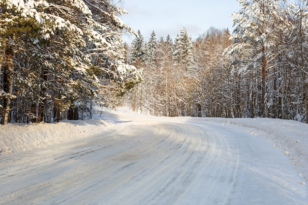 Winter weg in besneeuwde ijzige boslandschap