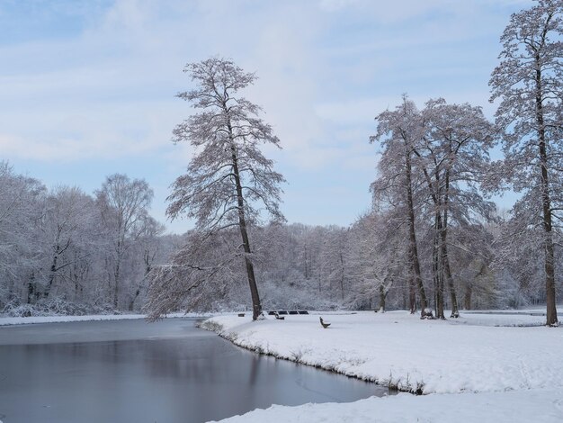 Winter in westphalia