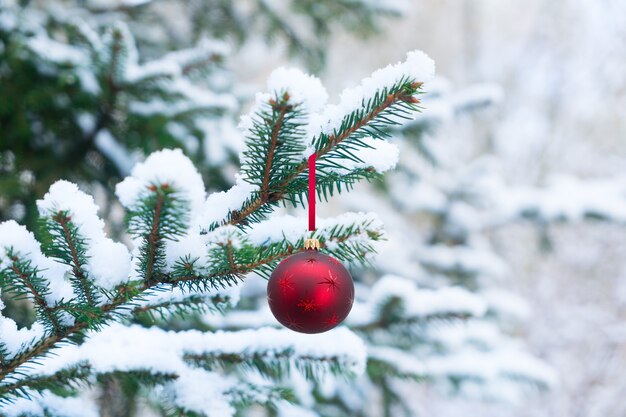 Winter with green spruice tree an red ball in snow