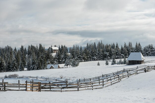 Winter woderland with chalet