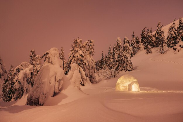 Winter wonderland with igloo snow Night scene with snow firs and snowdrift Landscape in red