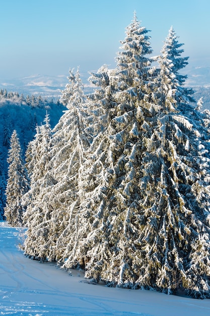 Winterberg besneeuwd landschap