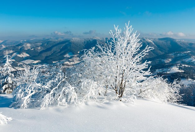 Winterberg besneeuwd landschap