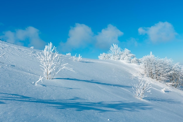 Winterberg besneeuwd landschap