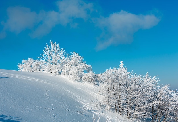 Winterberg besneeuwd landschap