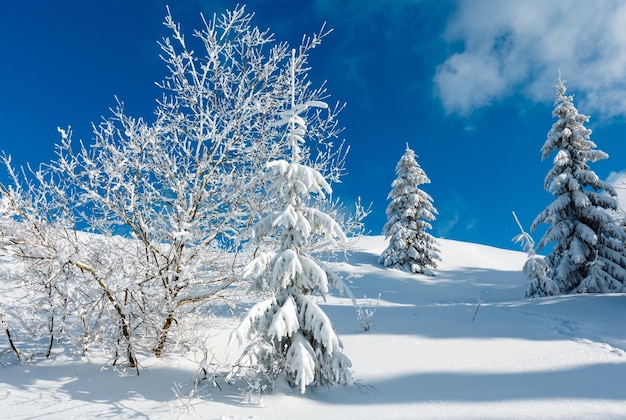 Winterberg besneeuwd landschap