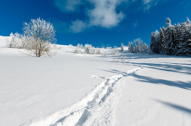 Winterberg besneeuwd landschap