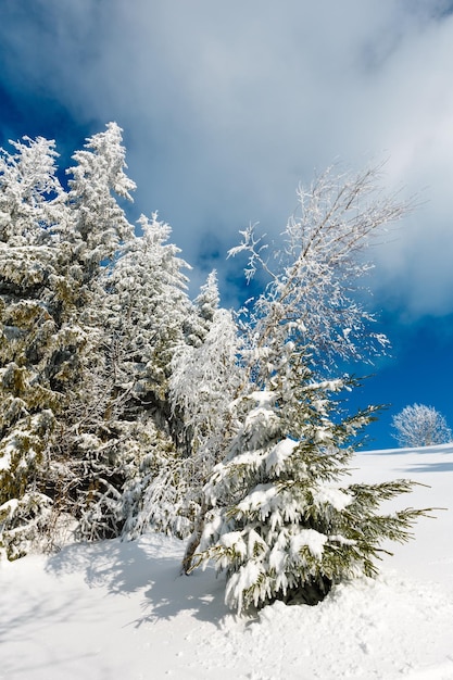 Winterberg besneeuwd landschap