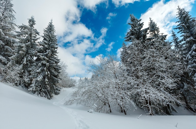 Winterberg besneeuwd landschap