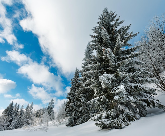 Winterberg besneeuwd landschap