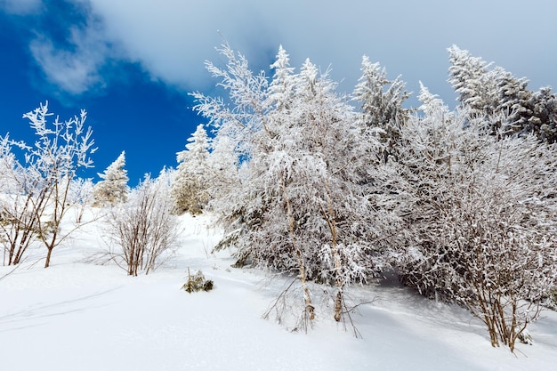 Winterberg besneeuwd landschap