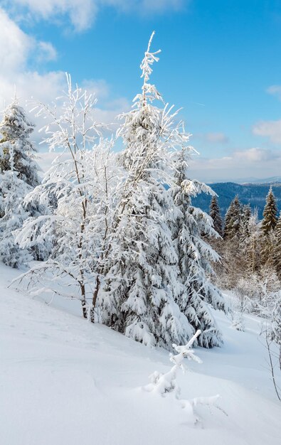 Winterberg besneeuwd landschap