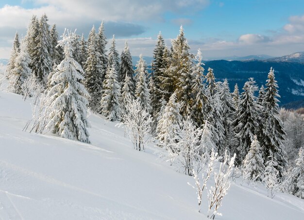 Winterberg besneeuwd landschap