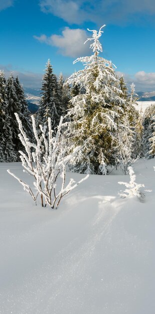 Winterberg besneeuwd landschap